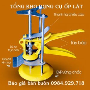 Con đội kích gạch